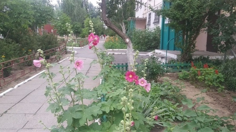 Температурні гойдалки у липні