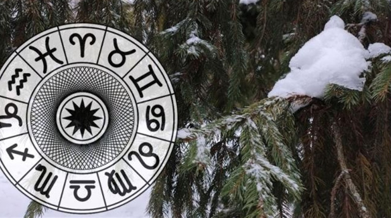 Гороскоп на тиждень з 26 січня по 1 лютого 2026 року: що зірки нам приготували