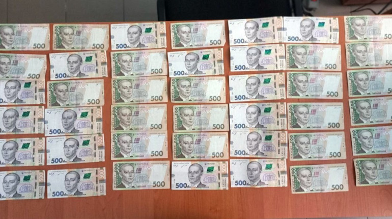 У Сарненському районі 18-річний хлопець вночі обікрав пенсіонерку