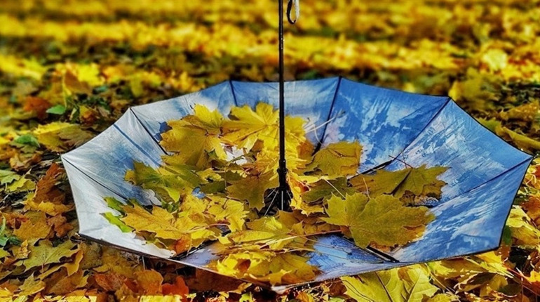 Листопад 2025: церковні та державні свята місяця