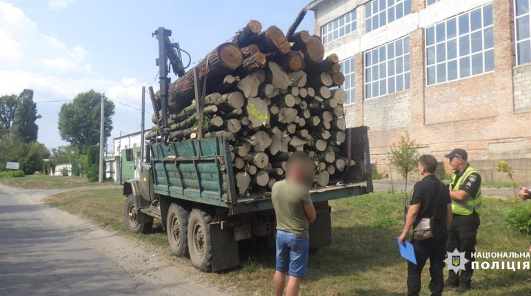 На Черкащині поліцейські задокументували два десятки фактів незаконної рубки