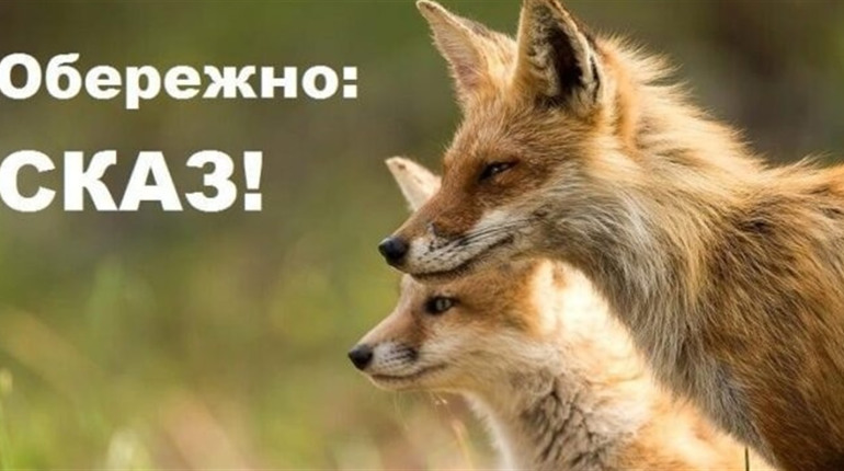 В Подільському районі було зареєстровано 43 випадки сказу, 9 з них - на Балтщині