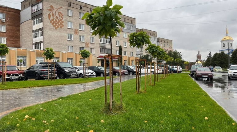 Погода у Барі з 7 по 13 жовтня: дощі, хмари й осіння прохолода