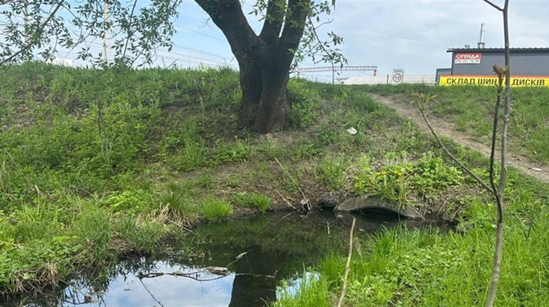 Екоінспектори перевіряють озеро у Звягелі на можливе забруднення неочищеними стічними водами