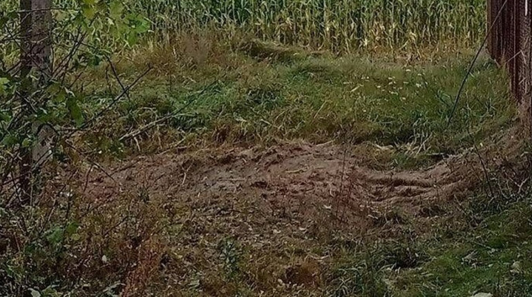 Прикордоння Чернігівщини обстріляли чотири рази з різних видів зброї