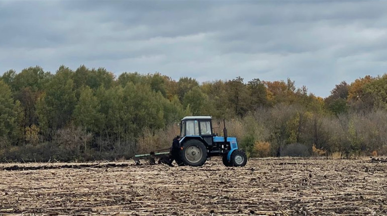 Аграрії Великобурлуччини отримали сходи озимих та підготували ґрунт до весняного засіву