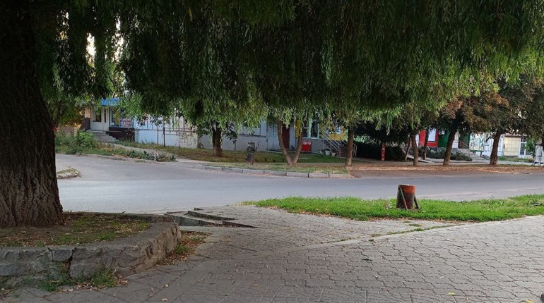 День Гідності та Свободи України й День пам'яті жертв Голодомору: календар свят на листопад