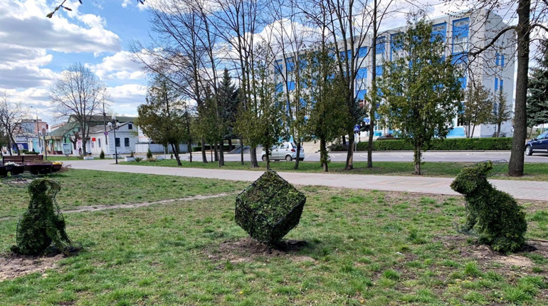 Ландшафтний дизайн: фігури з рослин з'явились у Сарнах
