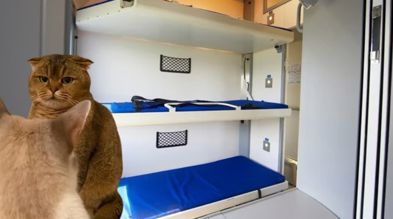 "Укрзалізниця" роз'яснила, чи мають право пасажири з верхньої полиці займати місце на нижній