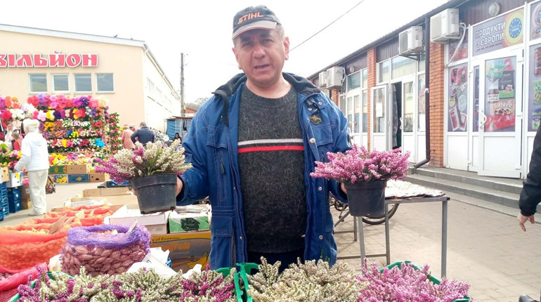 Олександр з «ерікою» і Анюта з «анютиними глазками»...