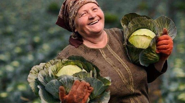 Що приготувати з капусти: 10 простих і смачних рецептів