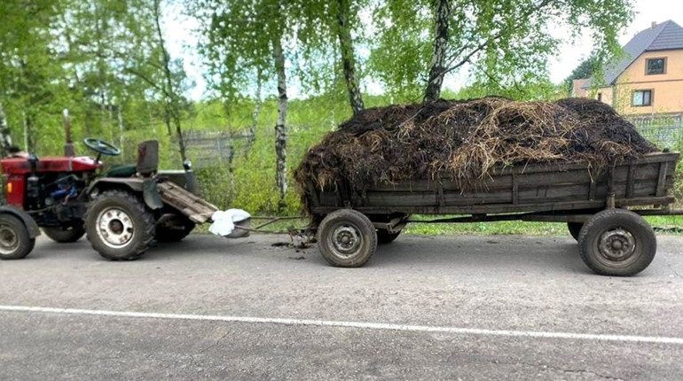 У Сарненському районі під колесами воза загинув 10-річний хлопчик