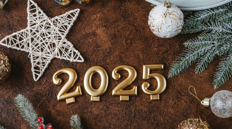 Символ 2025 року — Змія: традиції, одяг, страви та новорічні прикраси