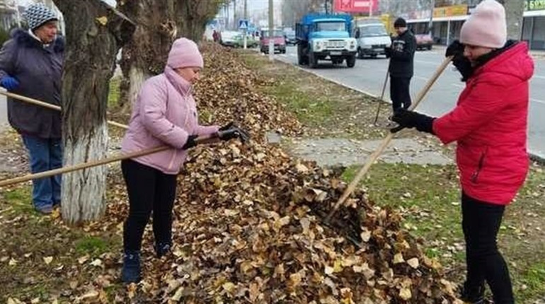 «Екосервіс» прибирав на «Соколі»