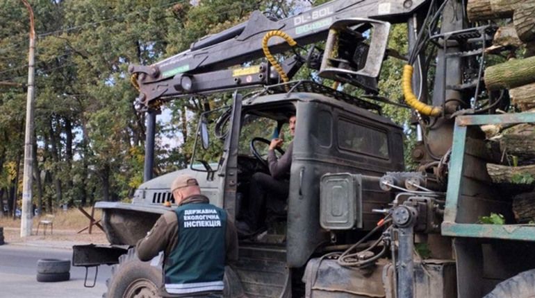 Для контролю перевезення деревини на Сумщині створили робочу групу. Вони працюють на блокпостах