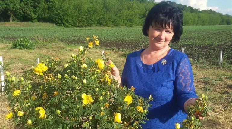 Майорівчанка Тетяна Савченко збирає у власному саду щедрий врожай інжиру: як це їй вдається