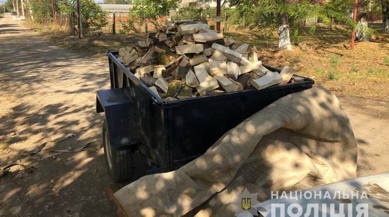 В Біляївці поліція затримала чоловіка, який віз дрова сумнівного походження