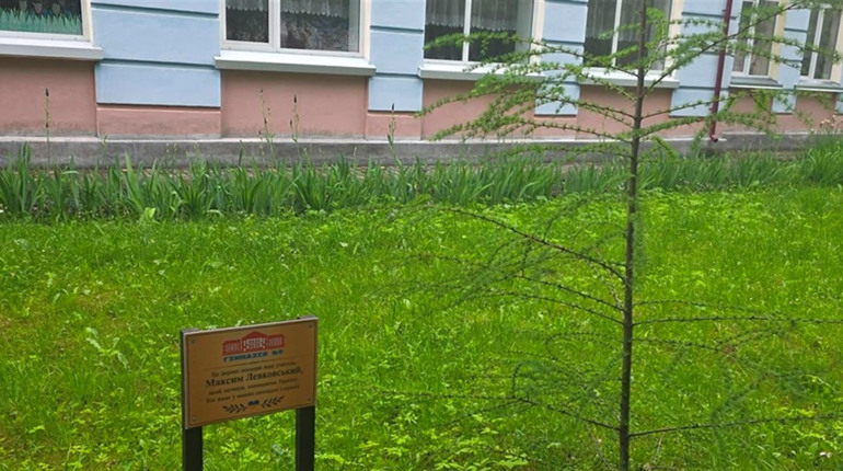 Модрина пам'яті: у Гімназії №9 вшанували загиблого вчителя Максима Левковського