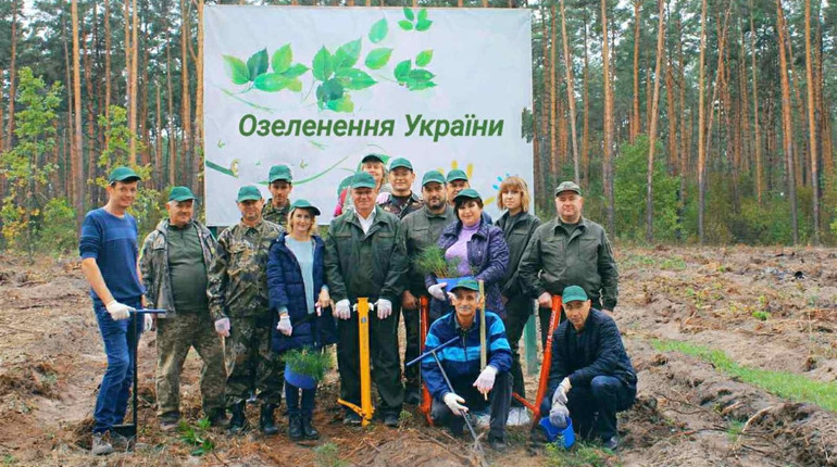 На Фастівщині посадили майже гектар лісу