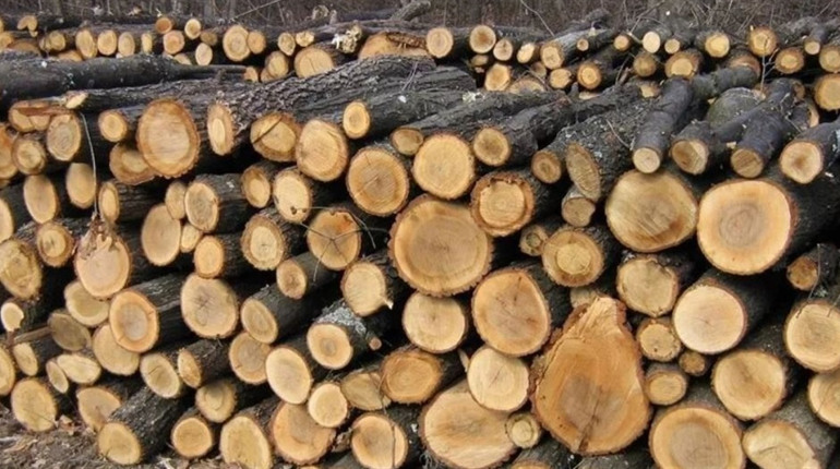 Скільки коштують дрова в Умані, та як купувати через інтернет-магазин «ДроваЄ»