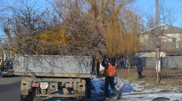 Біляївські комунальники обрізають та обпилюють дерева: чому їх приклад мають наслідувати жителі