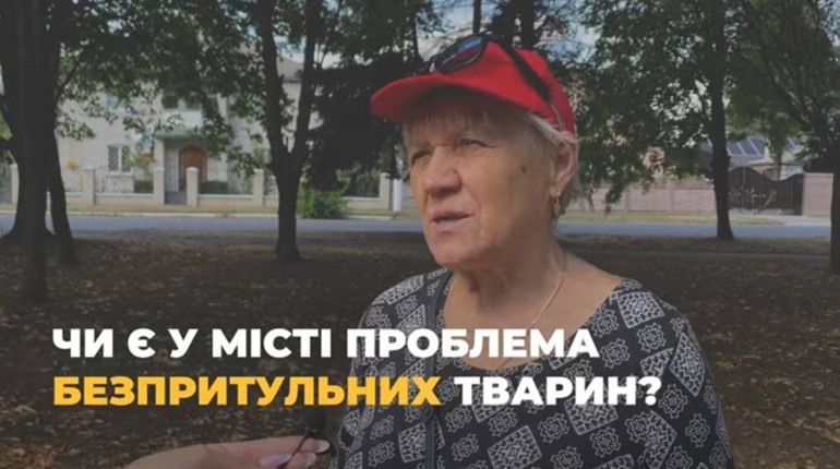 Чи є у місті проблема з безпритульними тваринами? Опитування