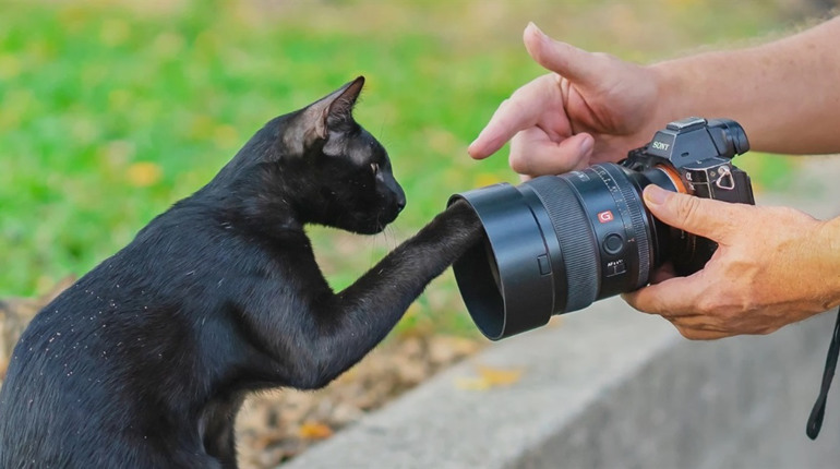 Професія фотограф: її переваги та як стати фотографом