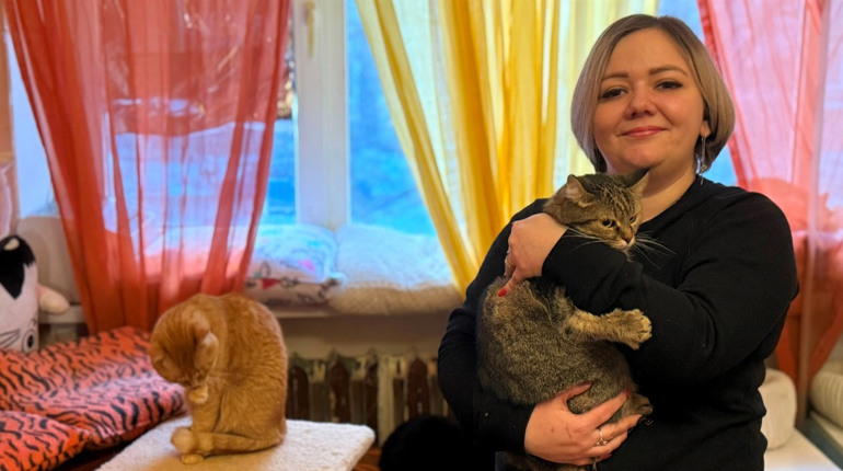 «Люди мають їм допомагати, бо вони беззахисні»: двадцять чотири котячі історії з Первомайська