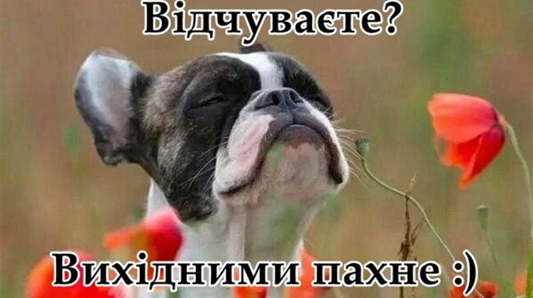 Афіша міста: куди піти у Сарнах цього тижня