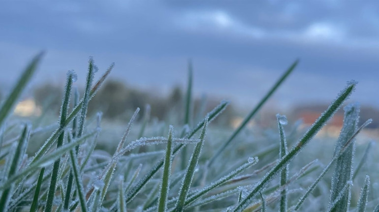 Заморозки на грунті та сильний вітер: яким буде синоптичний початок наступного тижня