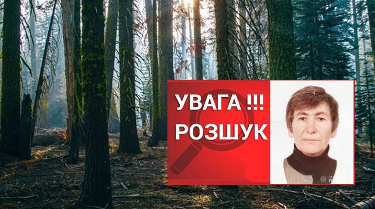 Тривають пошуки жінки з Воронок, яка пішла до лісу і не повернулась