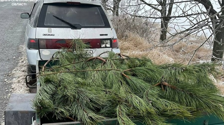 У П'ятихатках зловили чоловіка з соснами на які не було документів