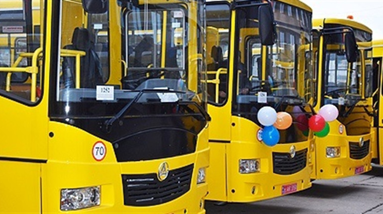 Городоцька громада закуповує шкільні автобуси. Скільки і учнів яких шкіл ними довозитимуть