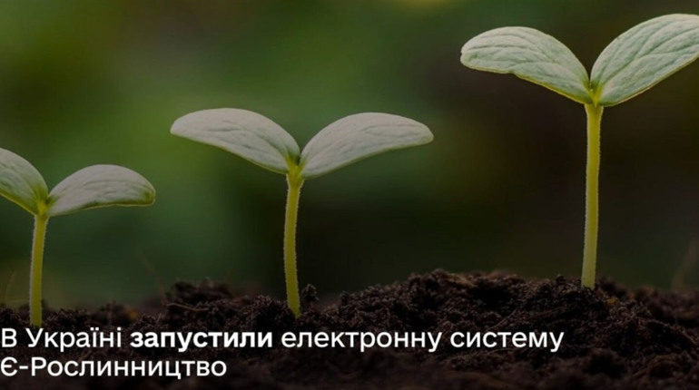 Для Українських аграріїв запрацювала електронна система реєстрів у галузі рослинництва