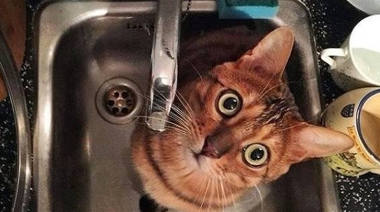 Запасайтеся водою! У Нетішині тимчасово відключать водопостачання