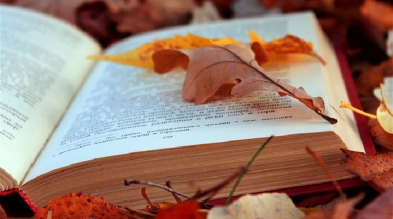 5 книг, які допоможуть пережити листопадові дощі з посмішкою: вибір Калинівка Сіty