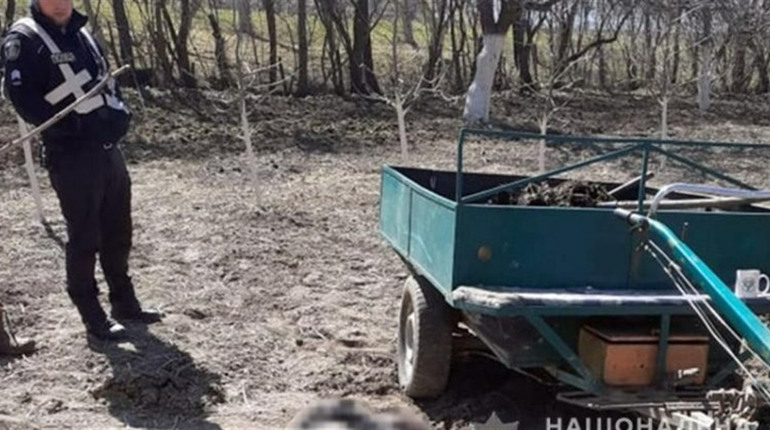 З ознаками сп'яніння та за кермом мотоблока. Який вирок виніс Городоцький суд правопорушнику?