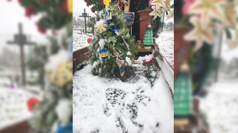 З могил городоцьких героїв невідомі вкрали гірлянди. Батьки полеглих воїнів шоковані