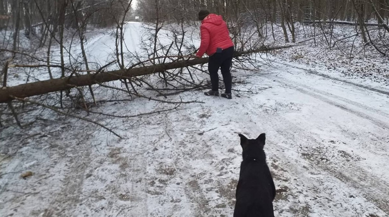 Через негоду на Городоччині частково знеструмлені села і ускладнився рух транспорту