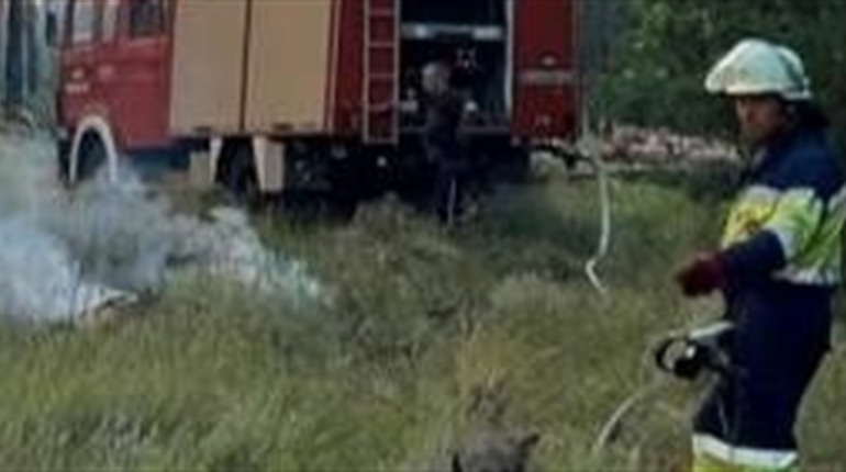 Коротке замикання й підпал сухостою — рятувальники ліквідували дві пожежі в Берестинському районі