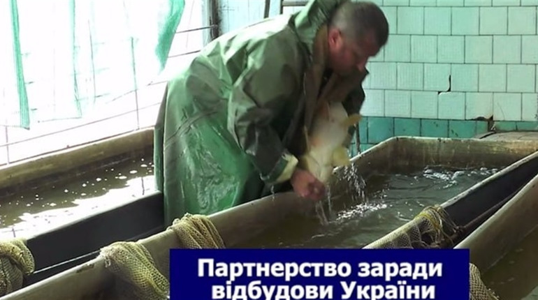 AQUABATOR: міжнародне партнерство та українська наука працюють на відновлення аквакультури