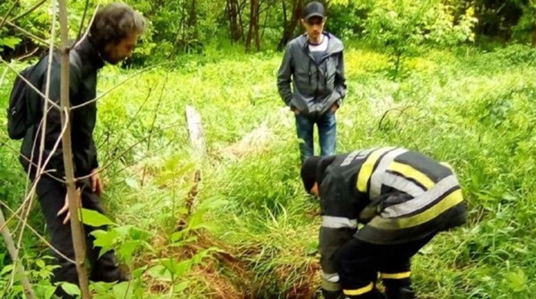 У Фастові рятувальники витягли з ями двох собак