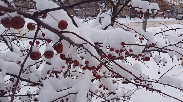 Зимові гойдалки: протягом тижня погода на Золотоніщині зміниться від 15° морозу до 3° тепла