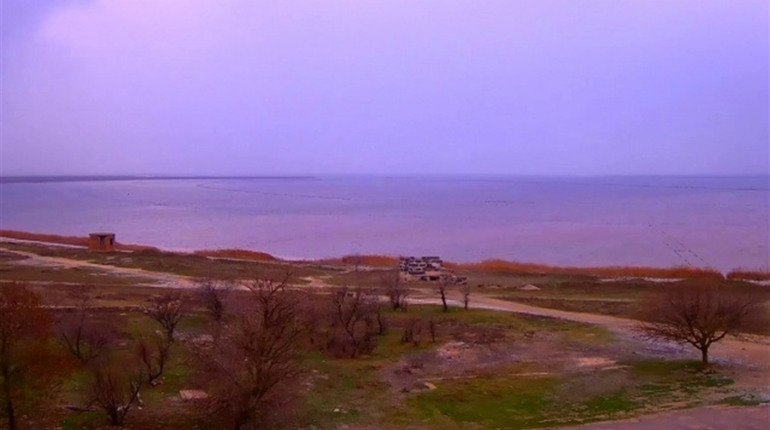 Рожева буря на озері (відео)
