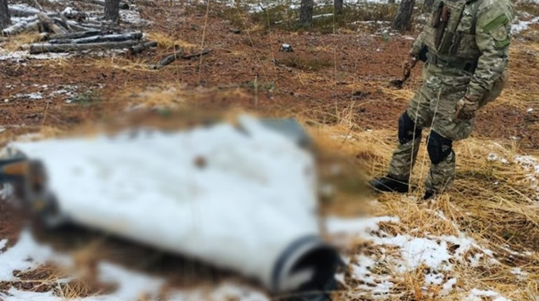 Поблизу населеного пункту на Житомирщині знайшли нерозірвану бойову частину російського дрона
