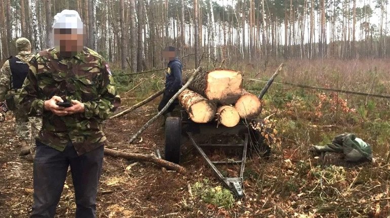 У селах Сарненського району поліцейські спіймали нелегальних лісорубів