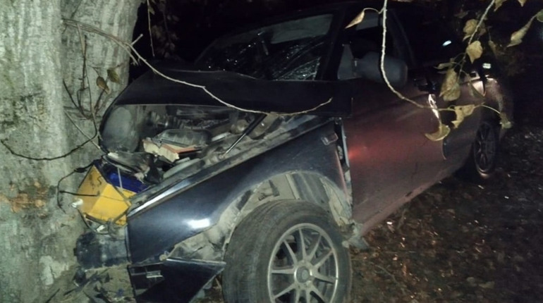 На трасі поблизу Шевченкового автомобіль влетів у деревину, загинув 46-річний чоловік