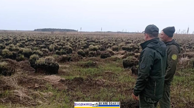 На території Нобельського парку виявили згарище на 17 га: збитки — понад 900 тис. грн