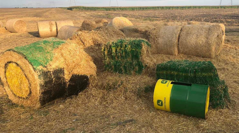 На Чортківщині вандали понищили солом'яну фотозону, яка втішала малечу і дорослих (+фото)