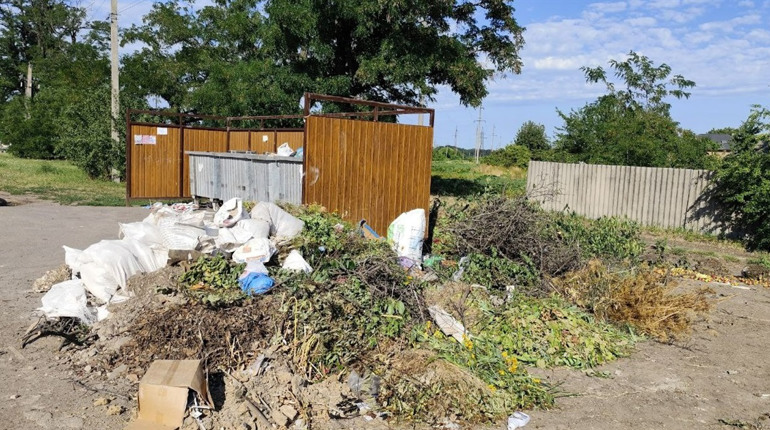 Онлайн опитування: чому в Знам’янці біля контейнерів зі сміттям утворюються звалища і що робити?